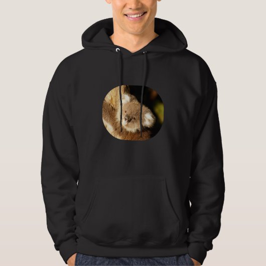 Veste À Capuche Koala Bear Australie Amour (Devant)