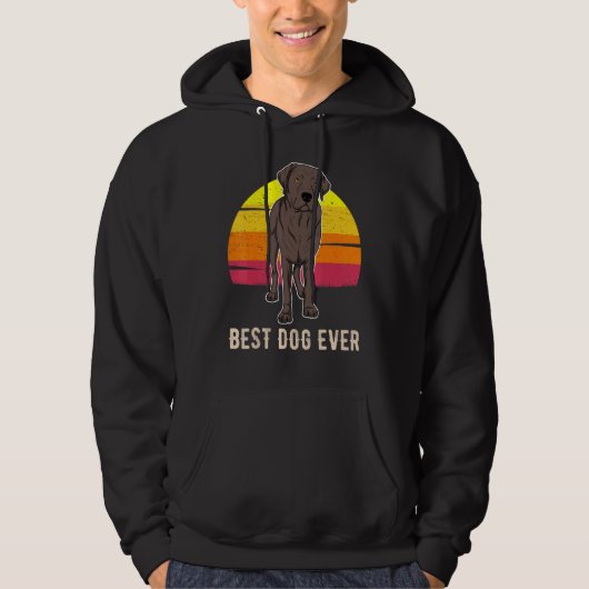 Veste À Capuche Labrador Retriever Chien Sunset 8 (Devant)