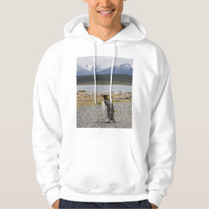 Veste À Capuche Le Roi pingouin, Isla Martillo, Terre de Feu