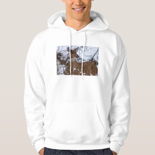 Veste À Capuche Mastiqueuse (Devant)