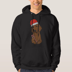 Veste À Capuche Noël Noël de Noël de Noël de Dachshund Wiener Dog
