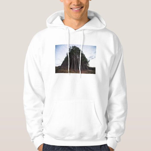 Veste À Capuche Plantation (Devant)
