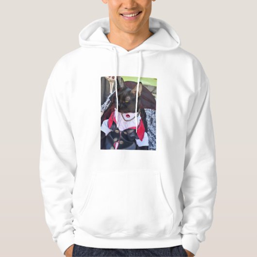 Veste À Capuche Sweatshirt de Freddie (Devant)