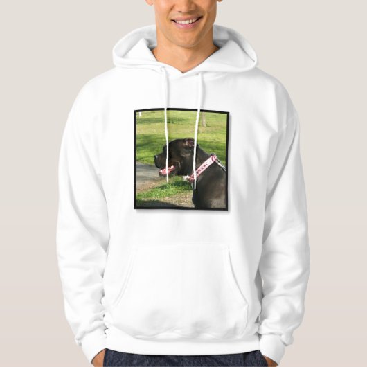 Veste À Capuche Sweatshirt noir de Pitbull (Devant)