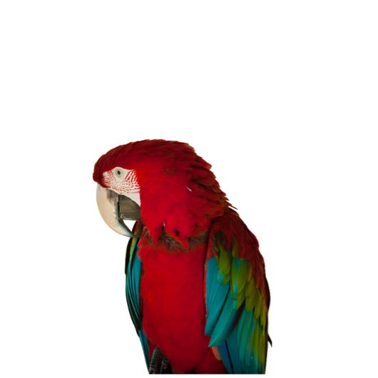 Veste À Capuche This elegant t-shirt design