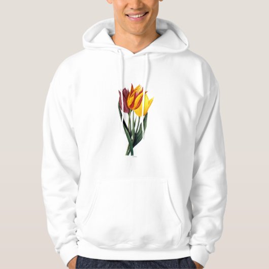 Veste À Capuche Tulipe (Tulipa Gesneriana) (Devant)