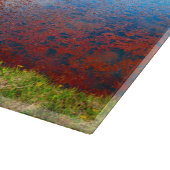 Vestrahorngebergte, IJsland Snijplank (Hoek)