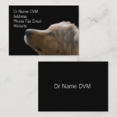 Vet Carte de visite II (Devant / Derrière)