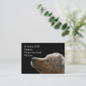 Vet Carte de visite II (Debout devant)