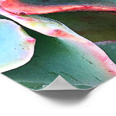 Vet groen cactus Succulent Photo Beauty Script Poster (Hoek)