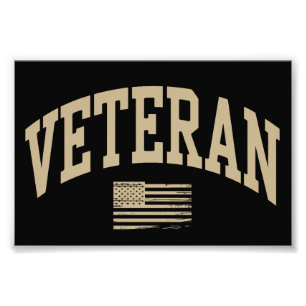 Veteraan Veteranen Dag VS Verenigde Staten Amerika Foto Afdruk