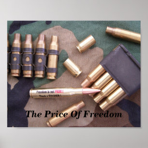 Veteranen van mariniers van de marine van het lege poster