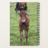 Veterinair Notitieboek voor scheepswerven (Achterkant)