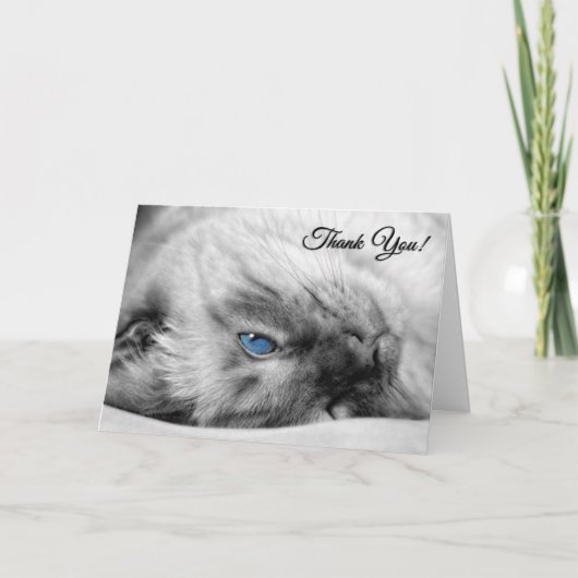 Veterinair van de Cat Siamese Bedankkaart (Voorkant)