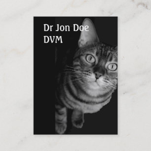 Vétérinaire de carte de visite IV