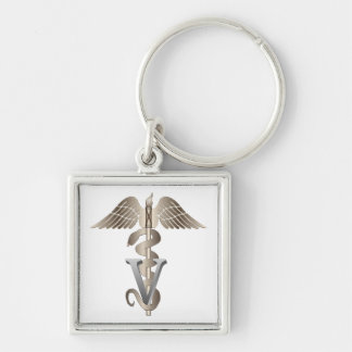 Veterinarian Caduceus Sleutelhanger