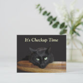 Veterinary Checkup Funny Black Cat Briefkaart (Staand voorkant)
