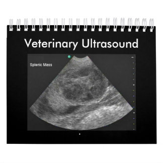 Veterinary Ultrasound Calendar Kalender