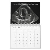 Veterinary Ultrasound Calendar Kalender (Jan 2026)