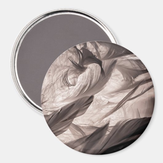 Veters Magneet (Voorkant / Achterkant)