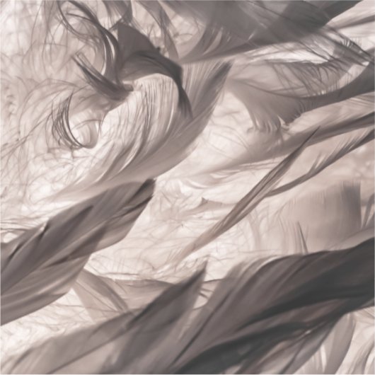 Veters Sticker (Voorkant)