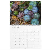 vetkalender kalender (Mar 2026)