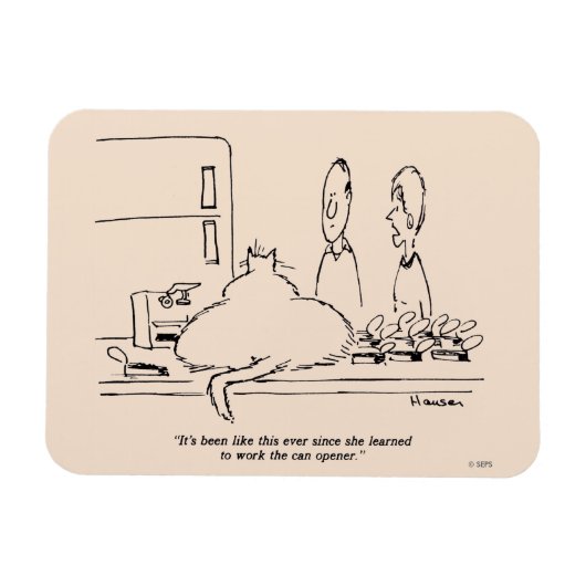 Vetkat Magneet (Horizontaal)