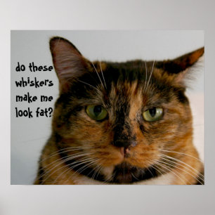 Vetkat met Attitude, grappig poster van katten