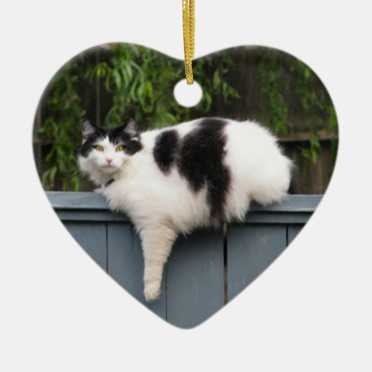 Vetkat op hek keramisch ornament (Voorkant)