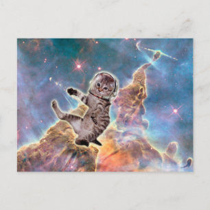 Vetkattenastronaut Briefkaart