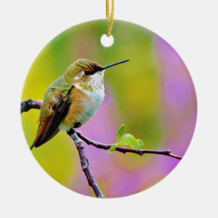 Vetkleine Hummingvogel Keramisch Ornament