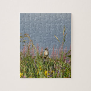 Vetkleine Hummingvogel Legpuzzel
