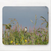 Vetkleine Hummingvogel Muismat (Voorkant)