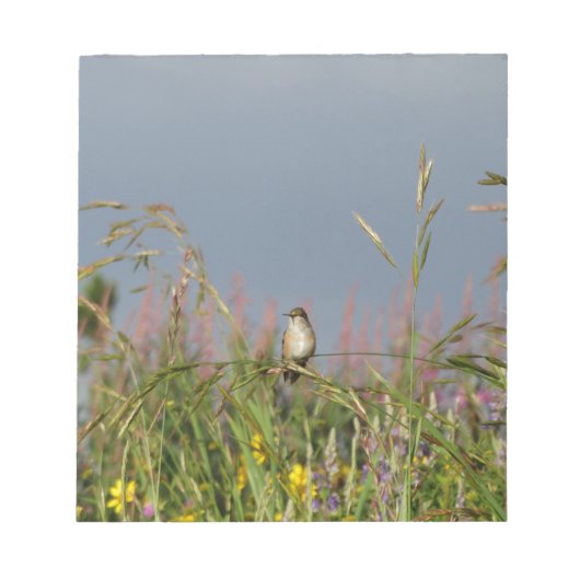 Vetkleine Hummingvogel Notitieblok (Voorkant)