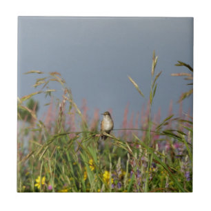 Vetkleine Hummingvogel Tegeltje