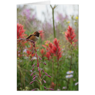 Vetkleine vogel