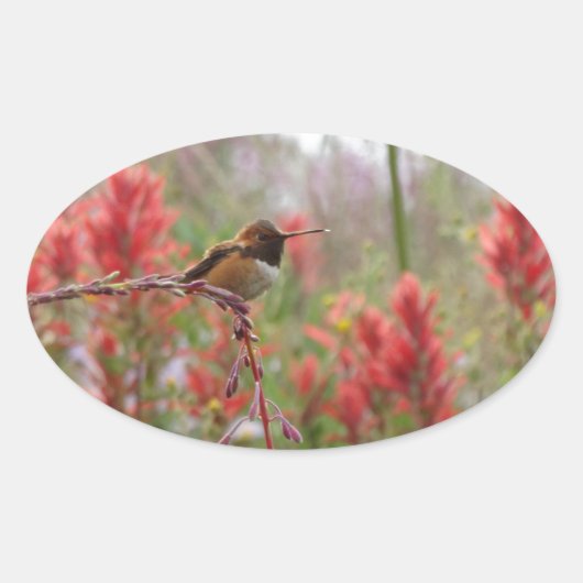 Vetkleine vogel ovale sticker (Voorkant)