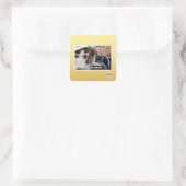 Vetland Vierkante Sticker (Tas)
