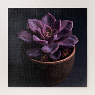 Vetplant legpuzzel