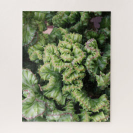 Vetplant Legpuzzel