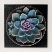 Vetplant legpuzzel (Horizontaal)