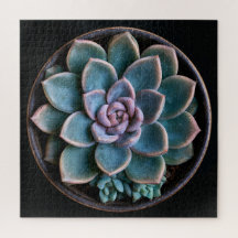 Vetplant