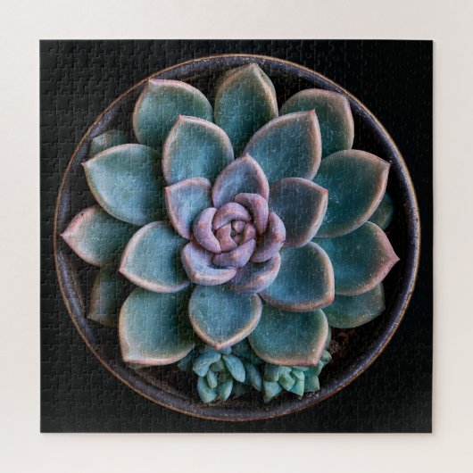 Vetplant legpuzzel (Verticaal)