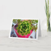 Vetplant Portret Kaart (Voorkant)