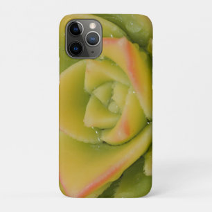 Vetplant Rozet Natuur Plant Foto Kunstprint iPhone 11 Pro Hoesje