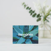 Vetplanten Blauwe Agave Cactus  Visitekaartje (Staand voorkant)