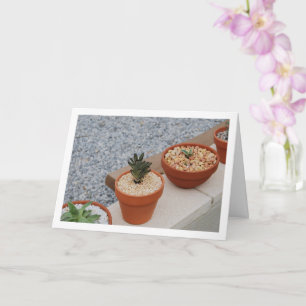 Vetplanten op Tuinmuur Portret Kaart