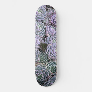 Vetplanten, Vetplanten, Vetplanten Skateboard