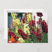 Vette Rocket Snapdragons Briefkaart (Voorkant / Achterkant)