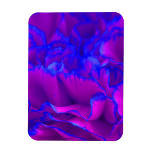 Vette roze Fuschia en blauwe anjer ventilator Magneet